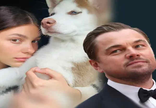 Camila Morrone Leonardo DiCaprio'nun köpeğini sahiplendim