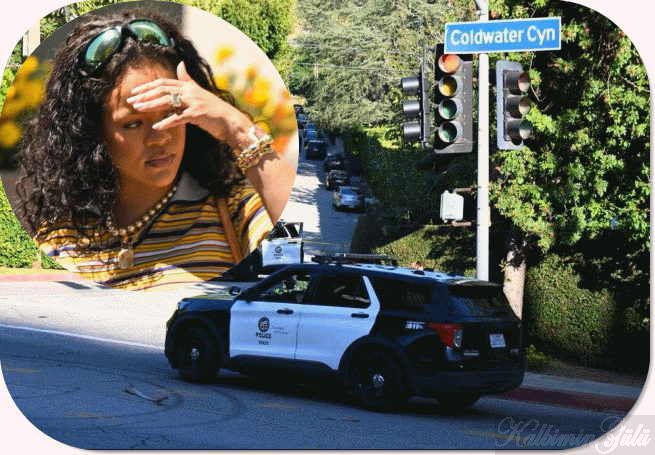 Bir kadın Los Angeles’taki Rihanna’nın villasına on el ateş etti