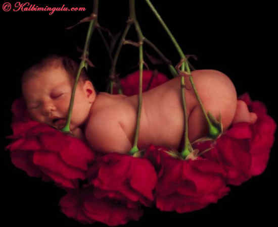 Kirmizi gül içinde bebek.