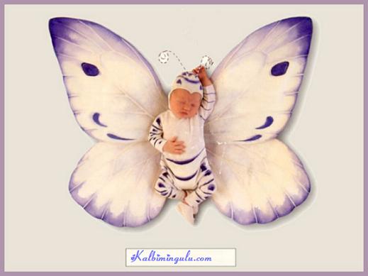 kelebek içinde bebek resimleri.