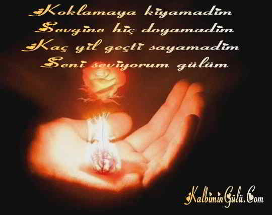 Koklamaya kiyamadim.