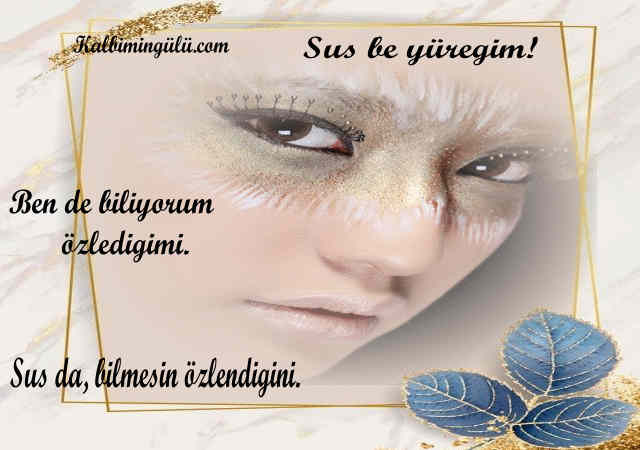 Ben biliyorum ozlediyini.