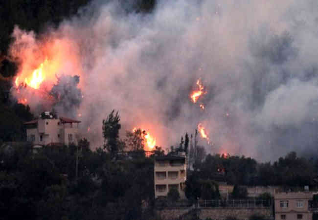 Hatay'da Orman yangininda Molotof Kokteyli iddiasi var