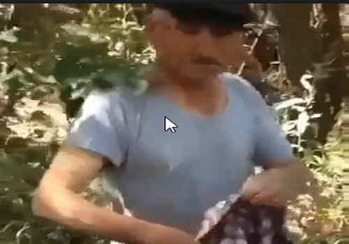 Kopek Sapigi Kopeye Tecavuz ederken yakalandi